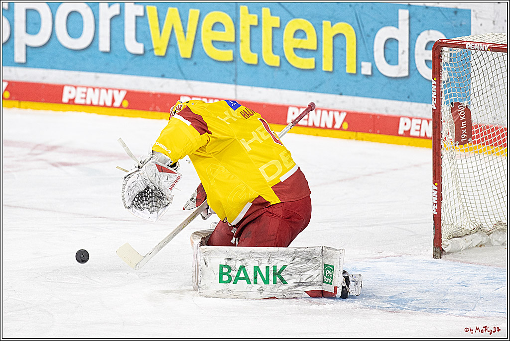 PENNY DEL;  Koelner Haie - Duesseldorfer EG; Koeln, 02.01.2023